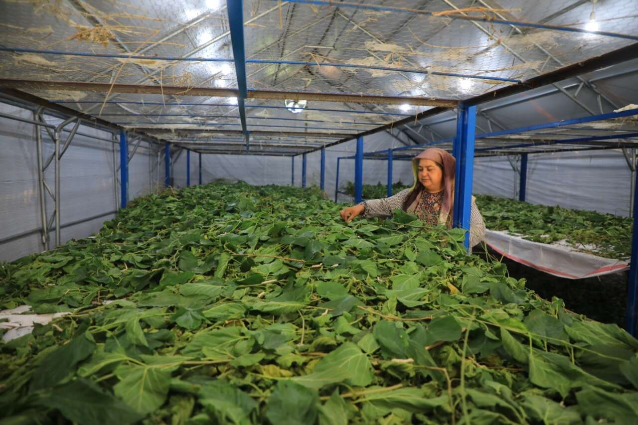 Muğla Büyükşehir’den Kadınlara Yönelik Yeni Meclis Projesi 1